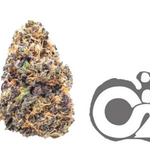 THCA Flower : Purple Punch