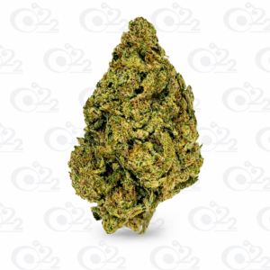 THCA Flower – Blue Starburst