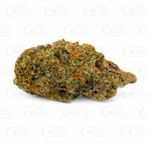 THCA Flower – Orange Cream Pop