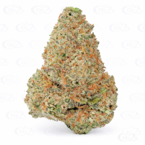 THCA Flower – Passion Fruit