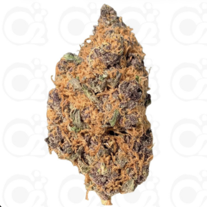 THCa Flower – Purple Urkle (Smalls)