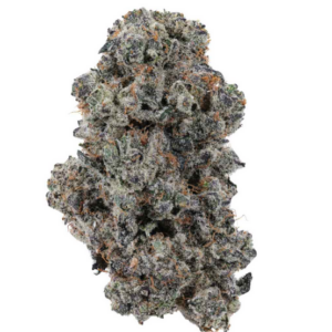 THCA Flower: Platinum Cookies