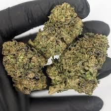 THCA Flower – Snatch Burger