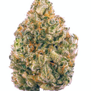 THCA Flower: Ginger Mintz