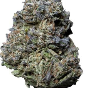 THCA Flower – Milos Kush