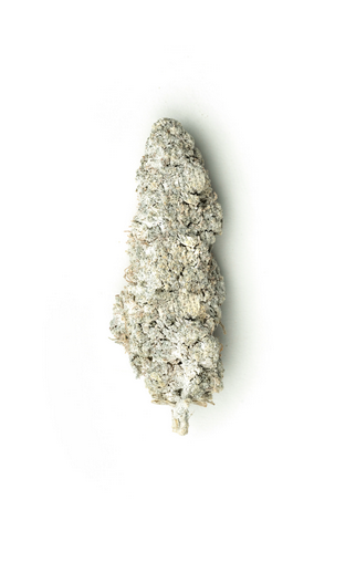 e5721c42-eed4-44fd-b1bd-f5fc3481b337.png