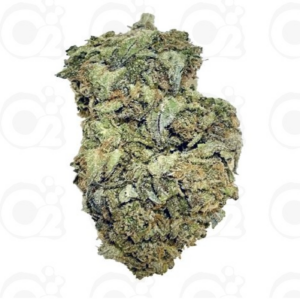 THCa Flower – RS11 × Jealousy