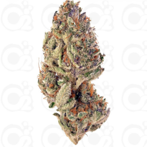 THCa Flower – Dark N Stormy (Smalls)