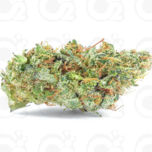 THCa Flower – Zeno (Smalls)