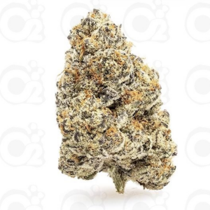 THCa Flower – Banana Jet